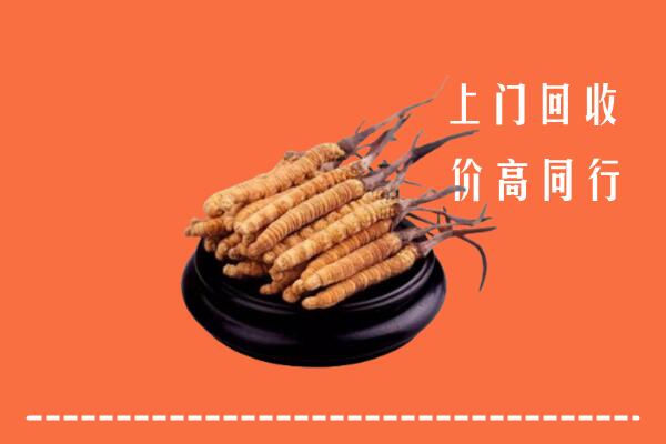 高价求购：芜湖市鸠江回收散虫草