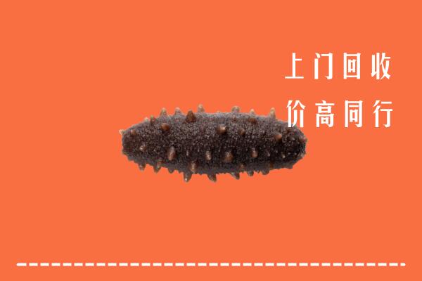 高价求购：芜湖市鸠江回收海参