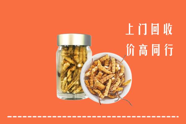 芜湖市鸠江回收冬虫夏草